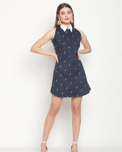 Blue Bird mini shirt dress